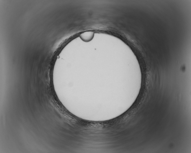 X0000116511214201001061216
