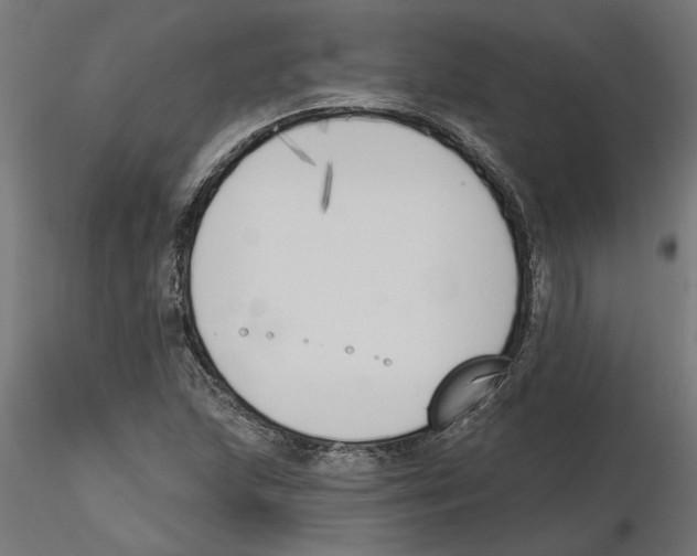 X0000116511215201001061216