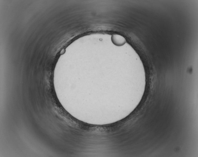 X0000116511217201001061216
