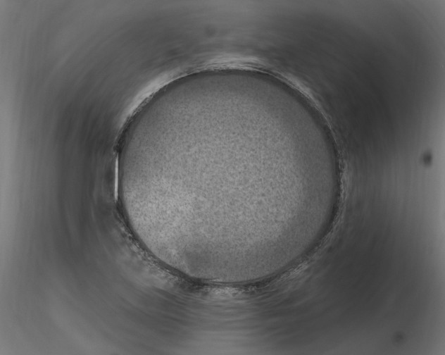 X0000116511219201001061216