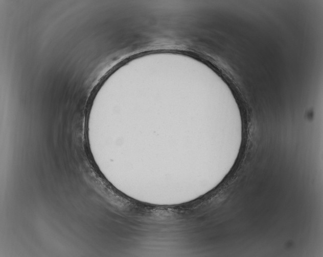 X0000116511220201001061216