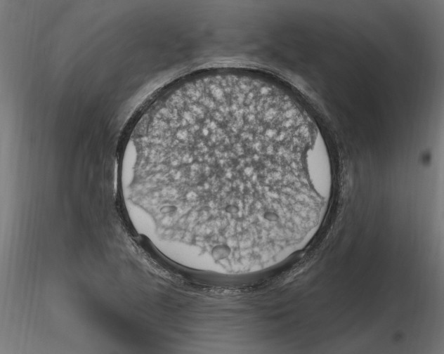 X0000116511221201001061216