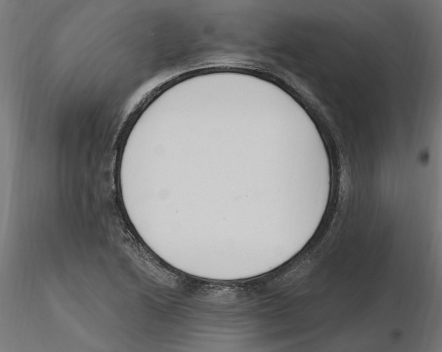 X0000116511222201001061216