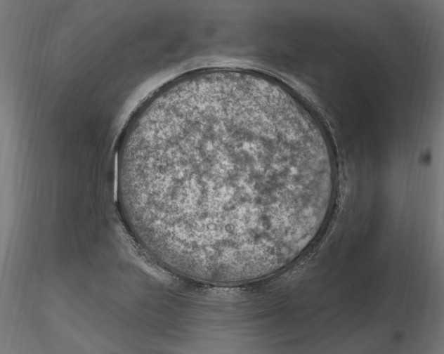 X0000116511223201001061216