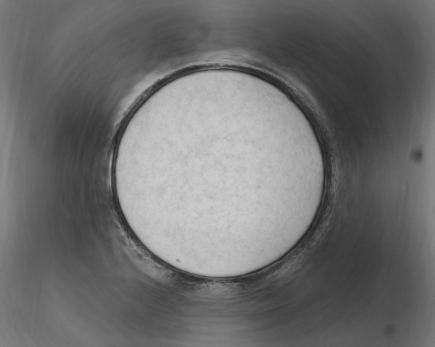 X0000116511224201001061216