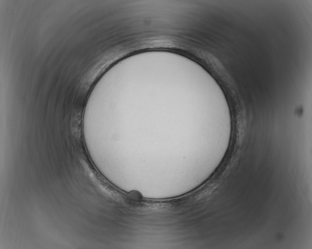 X0000116511225201001061216