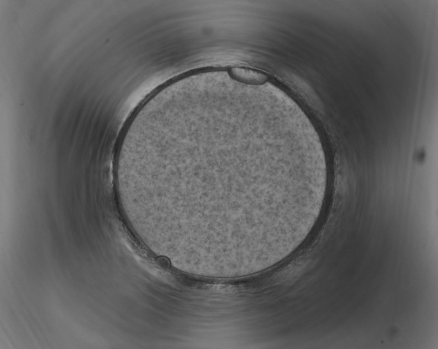 X0000116511226201001061216