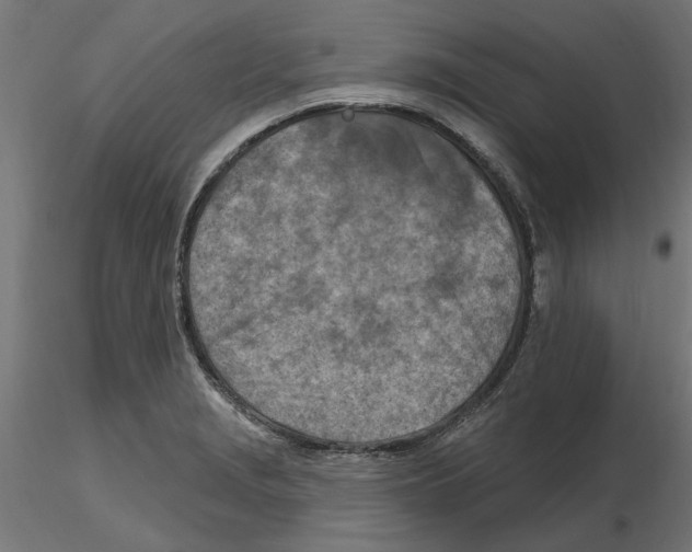 X0000116511229201001061216