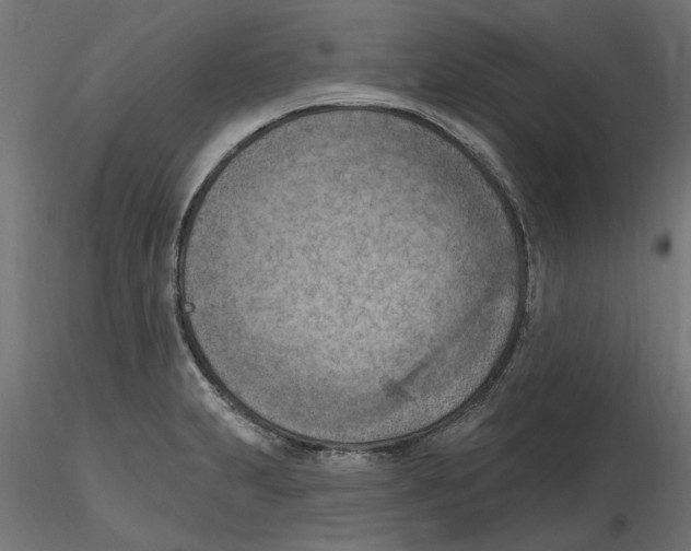 X0000116511231201001061216
