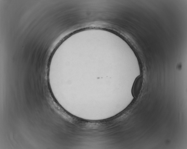 X0000116511232201001061216