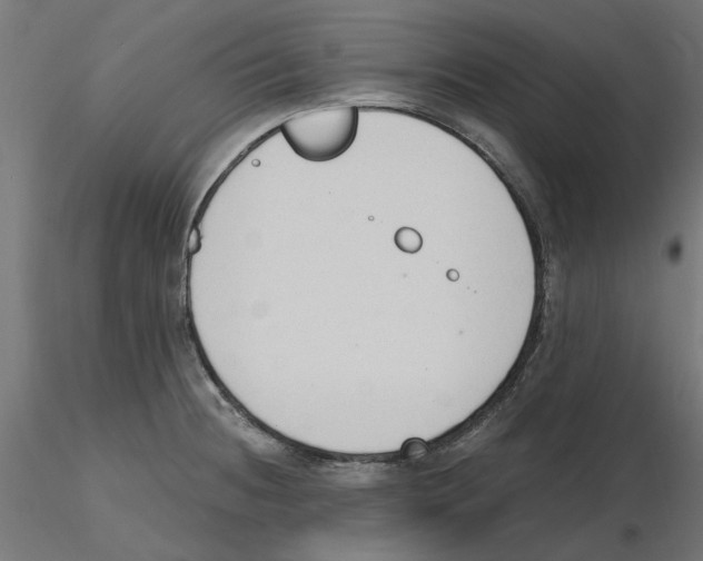 X0000116511236201001061216