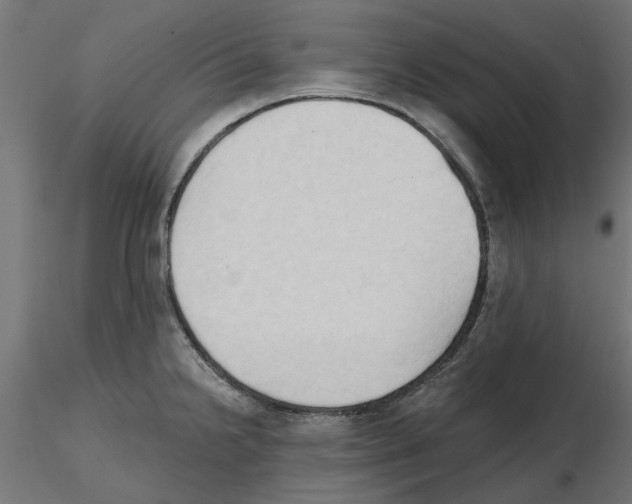 X0000116511238201001061216