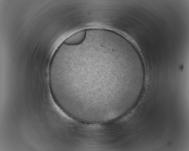 X0000116511239201001061216