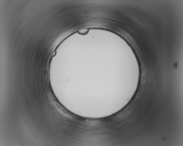 X0000116511242201001061216