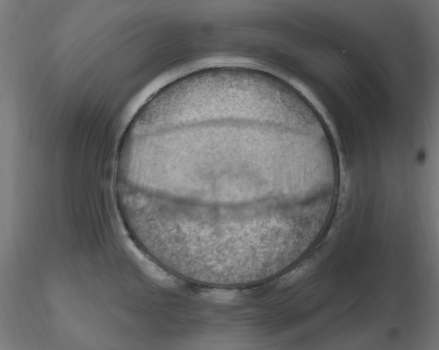 X0000116511245201001061216