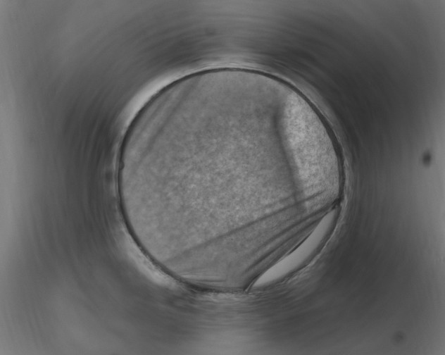 X0000116511246201001061216
