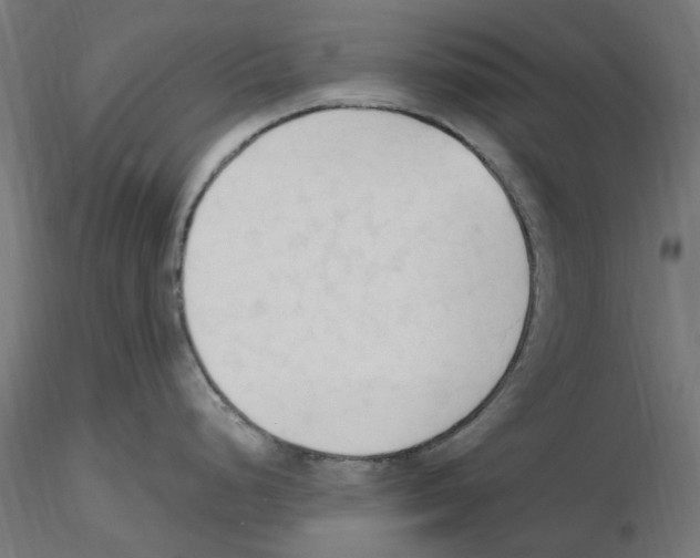 X0000116511248201001061216