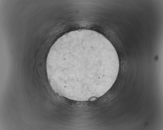 X0000116511249201001061216