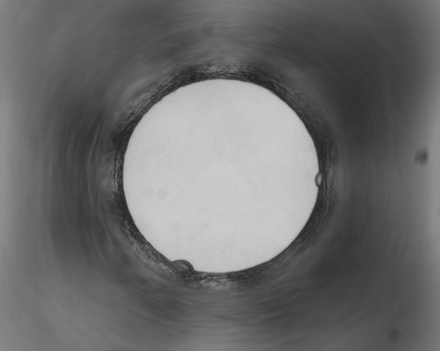 X0000116511250201001061216