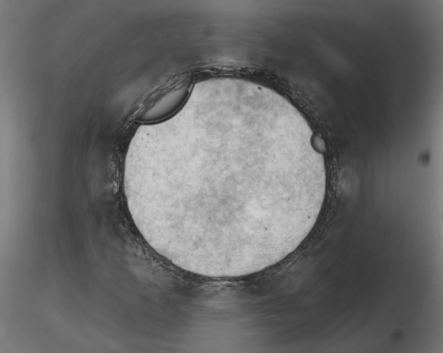 X0000116511253201001061216