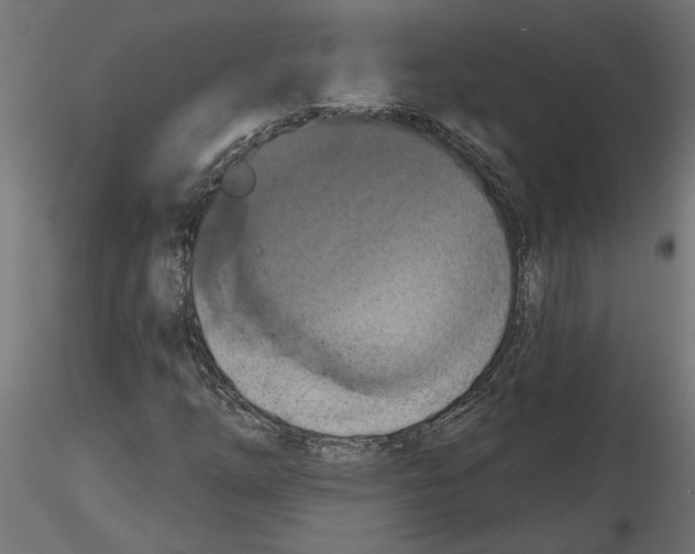 X0000116511254201001061216