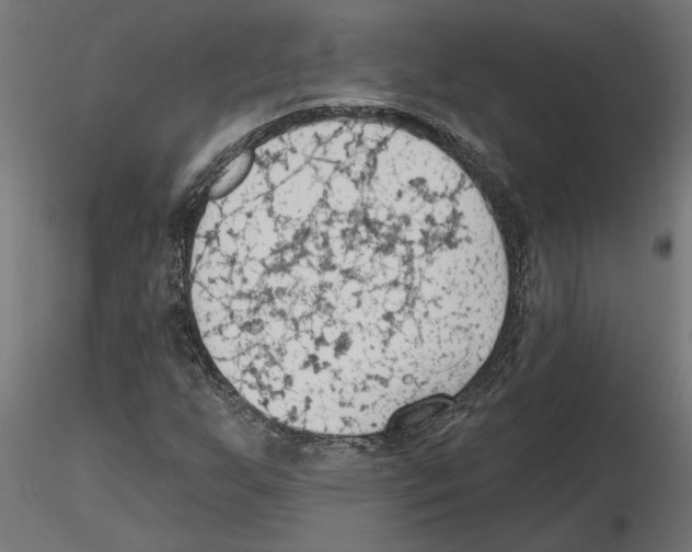 X0000116511255201001061216