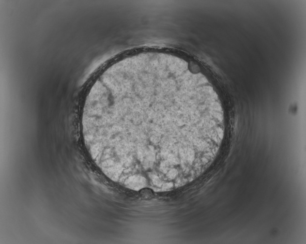 X0000116511256201001061216