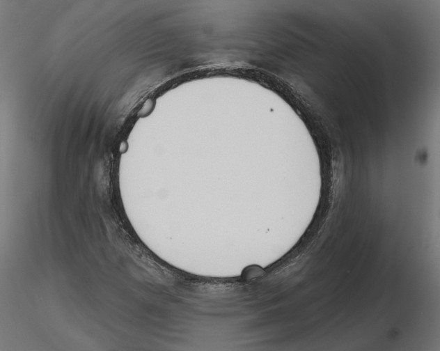 X0000116511257201001061216