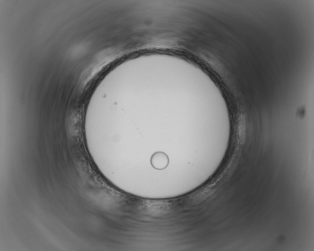 X0000116511258201001061216