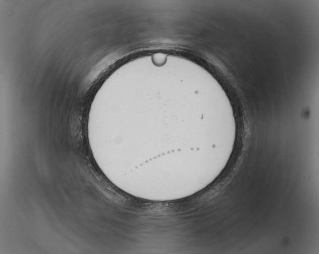 X0000116511259201001061216