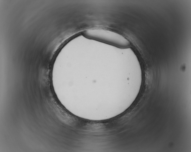 X0000116511260201001061216