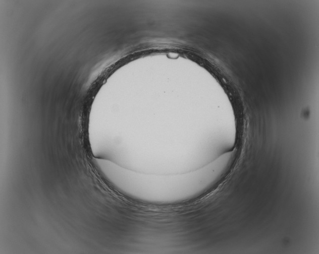 X0000116511261201001061215
