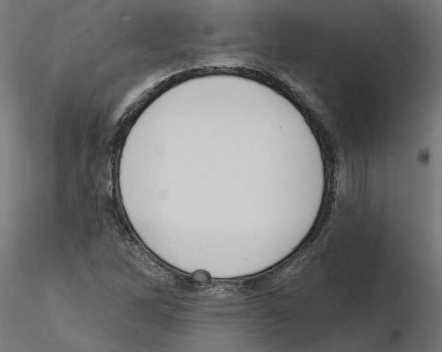 X0000116511262201001061215