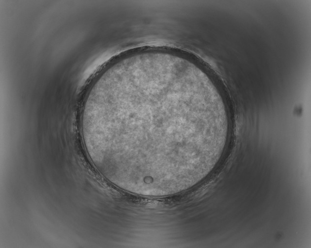 X0000116511263201001061215