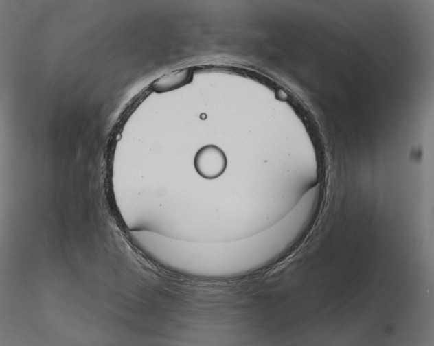 X0000116511264201001061215