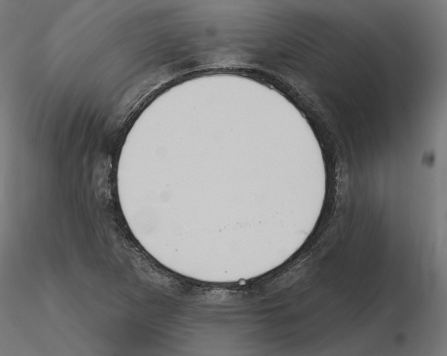X0000116511265201001061215
