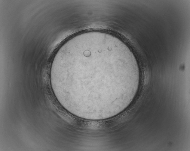 X0000116511266201001061215