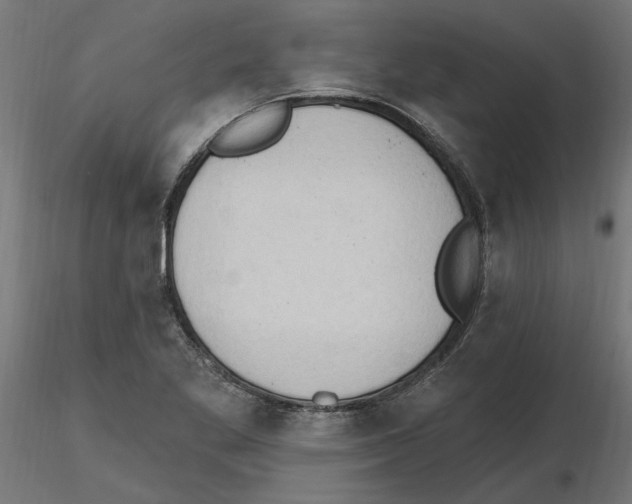 X0000116511269201001061215