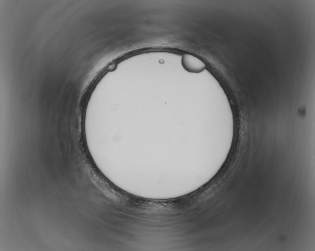 X0000116511270201001061215