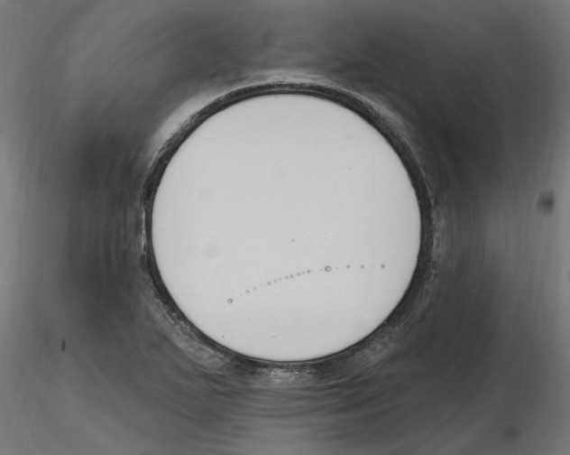 X0000116511271201001061215