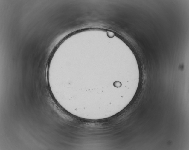 X0000116511272201001061215