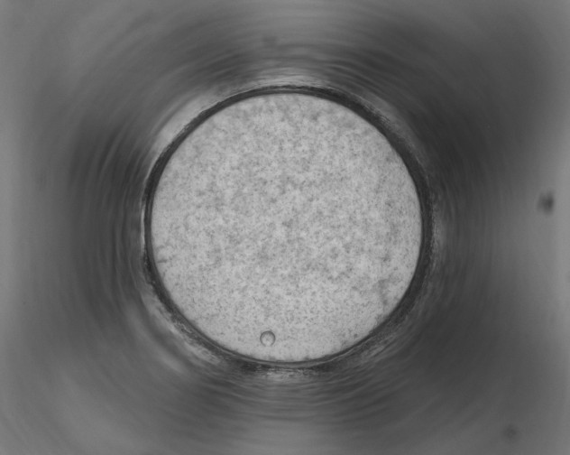 X0000116511274201001061215