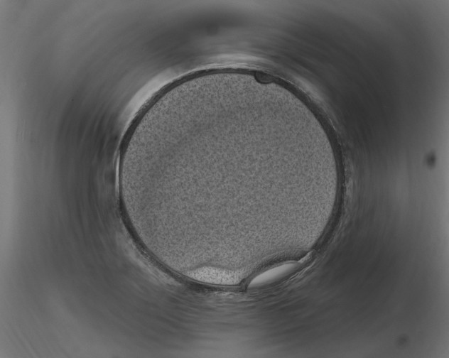 X0000116511275201001061215
