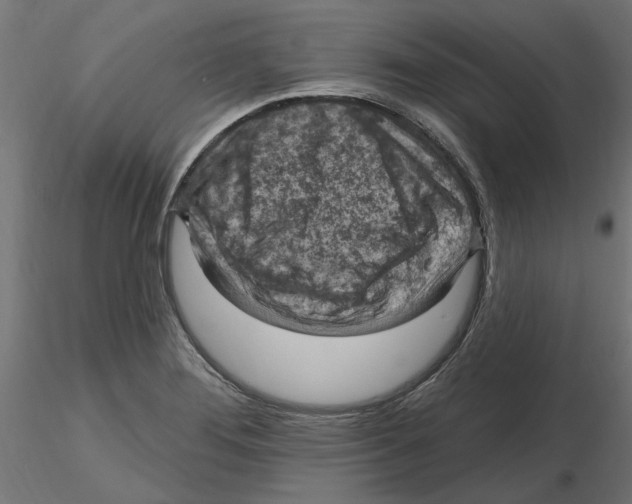 X0000116511276201001061215
