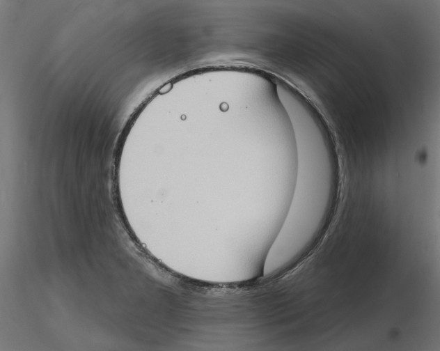 X0000116511277201001061215