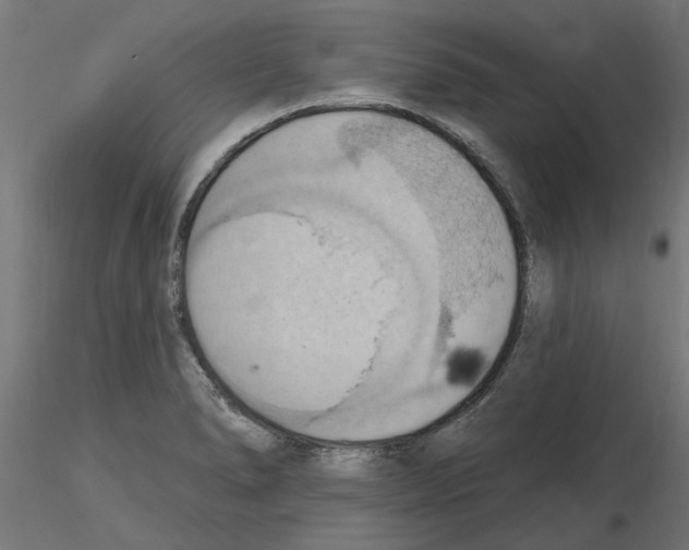 X0000116511278201001061215