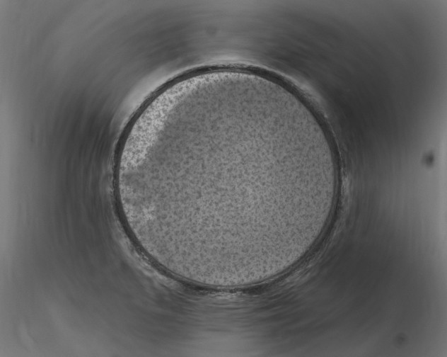 X0000116511279201001061215