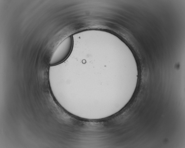X0000116511281201001061215