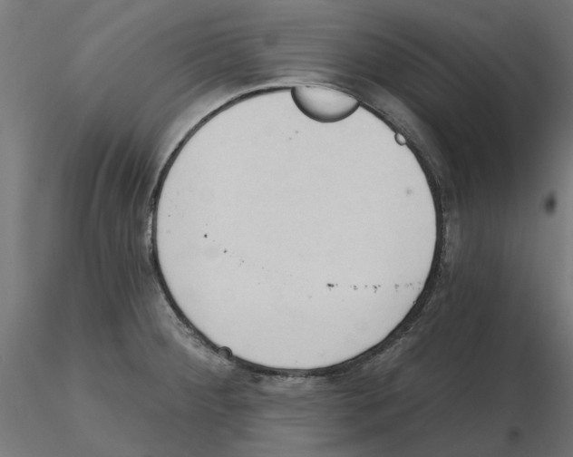 X0000116511284201001061215