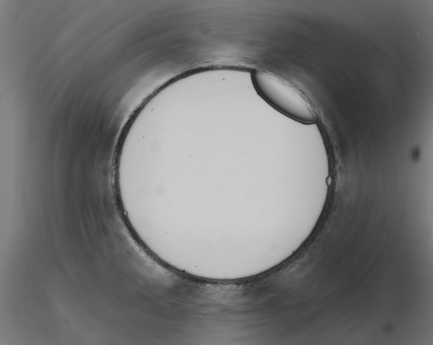 X0000116511285201001061215